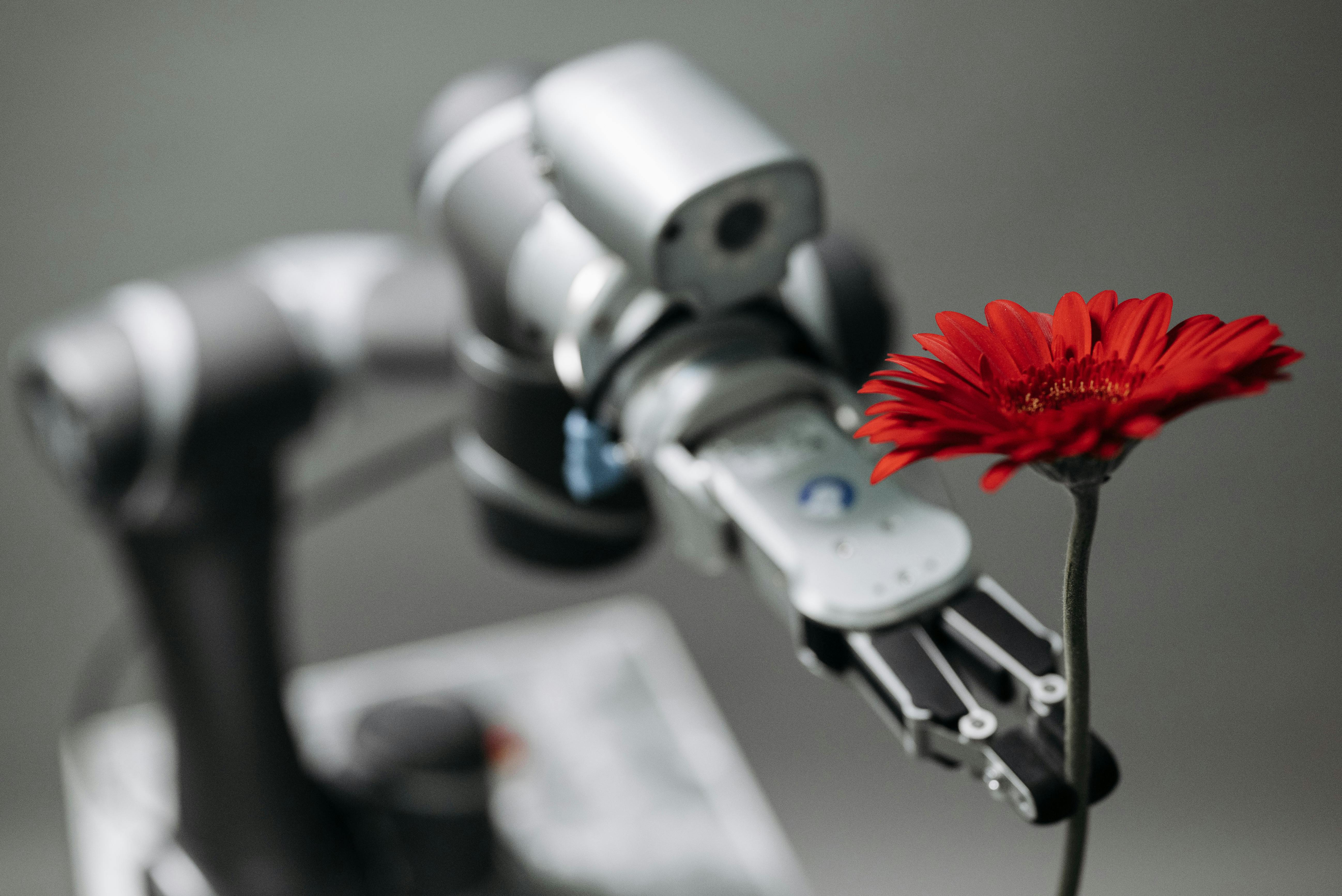 AI and Machine Learning