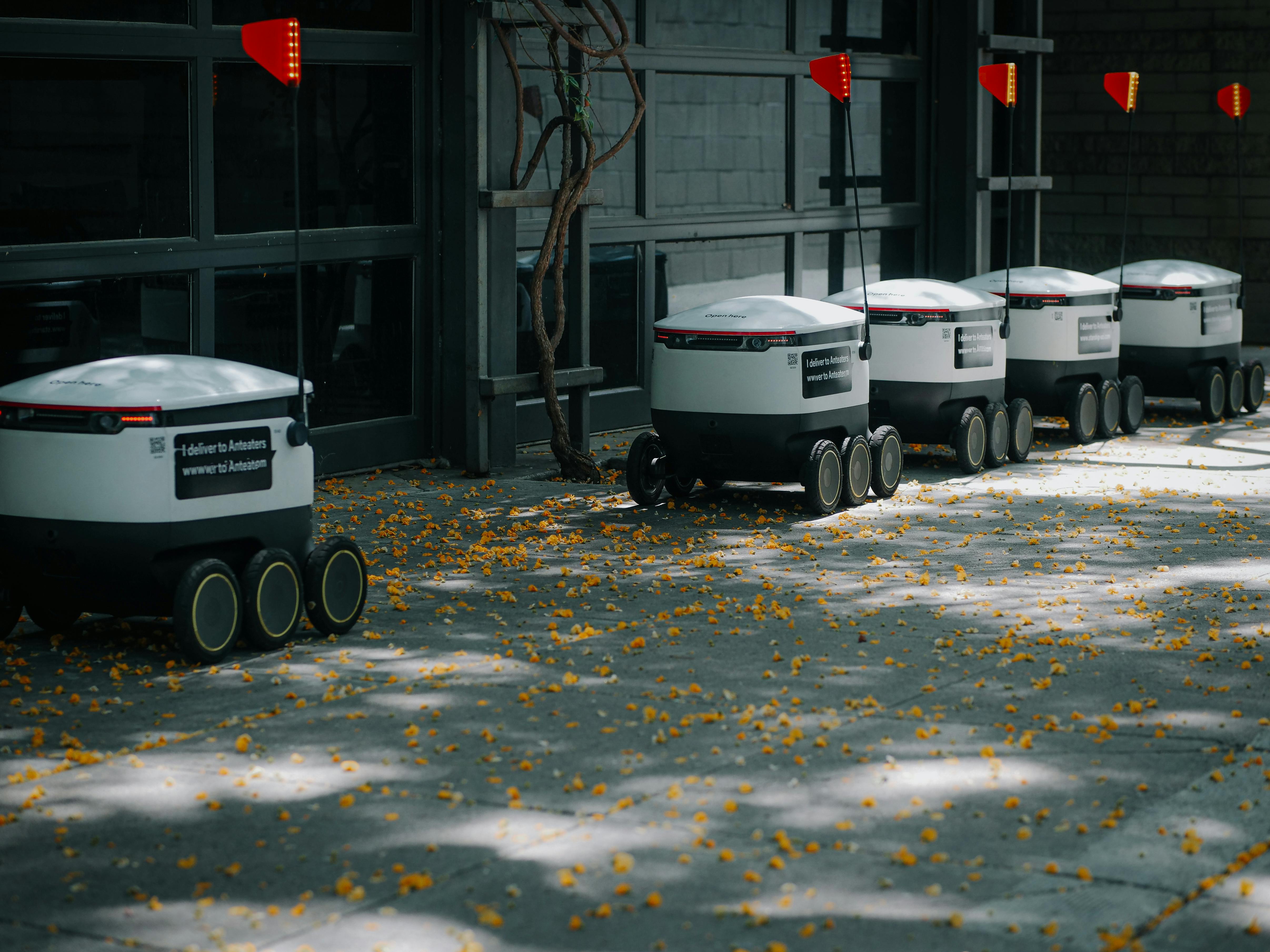 AI and Machine Learning
